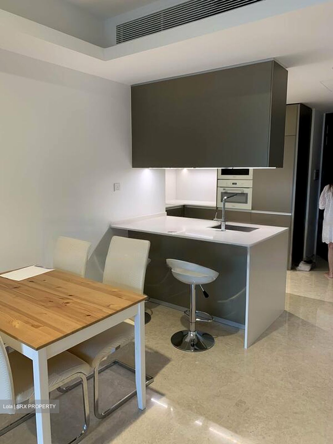 Cairnhill Nine (D9), Apartment #620687551